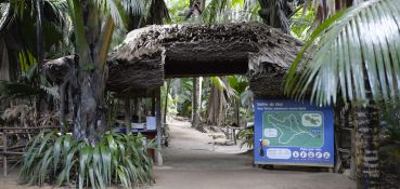 La Source des Seychelles - Vallée de Mai - Visita Guidata