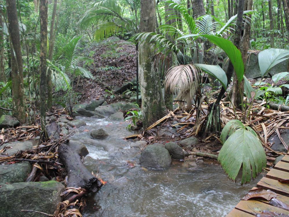 Vacoa Nature Trail