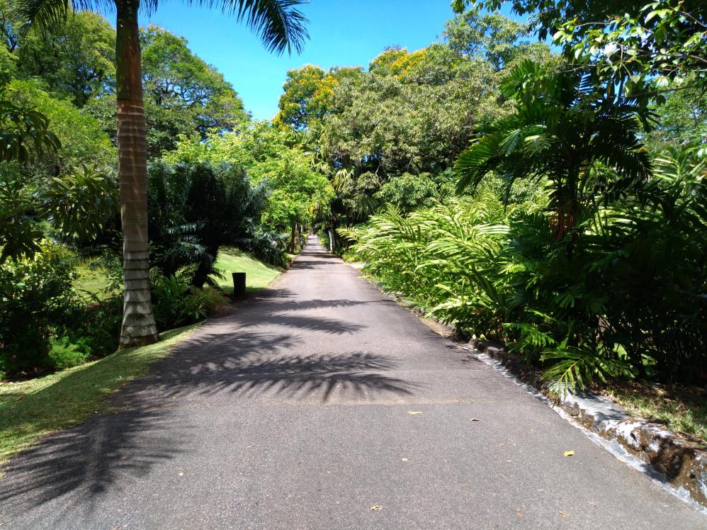 Giardini Botanici, Mahé