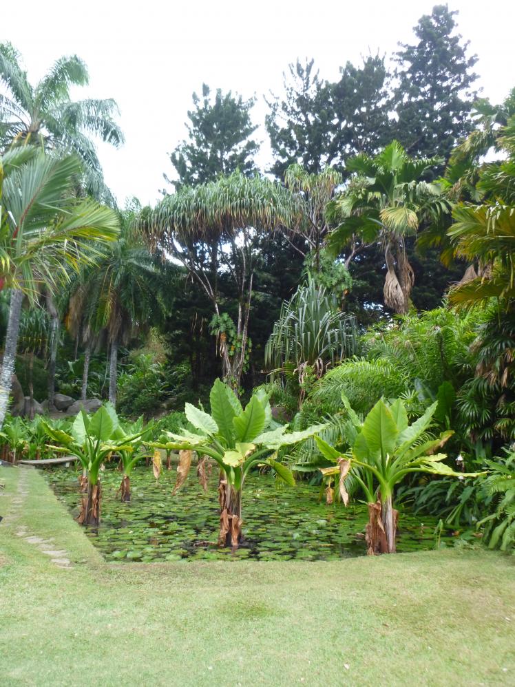 19|Seychelles National Botanical Gardens