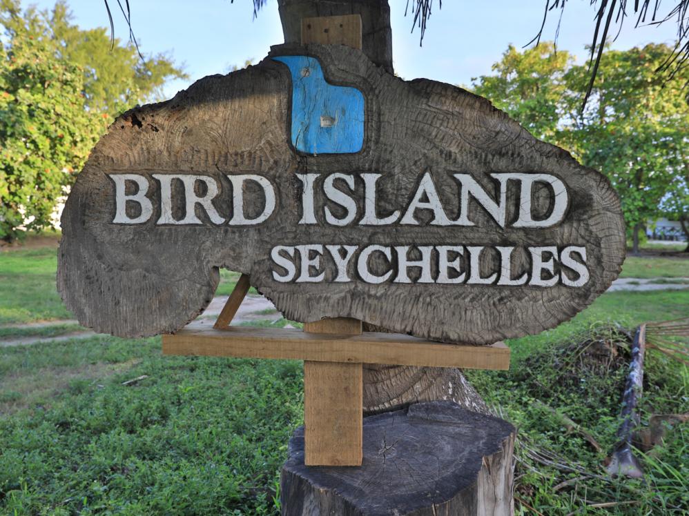 Welcome to Bird Island